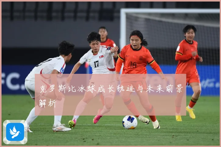 克罗斯比冰球成长轨迹与未来前景解析
