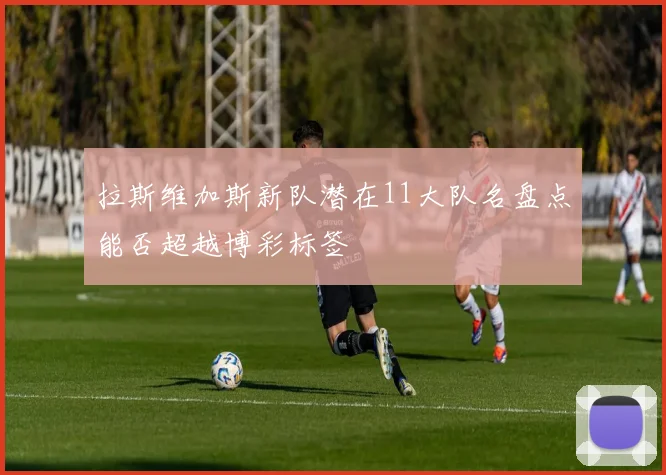 拉斯维加斯新队潜在11大队名盘点能否超越博彩标签