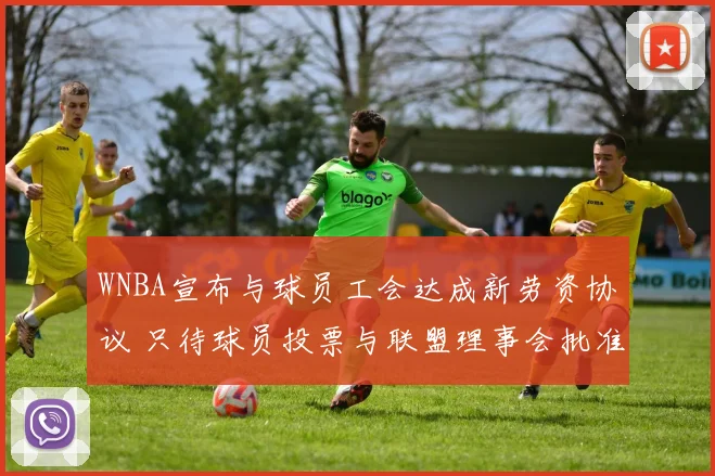 WNBA宣布与球员工会达成新劳资协议 只待球员投票与联盟理事会批准