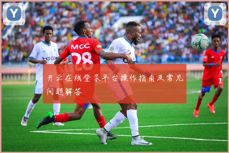 开云在线登录平台操作指南及常见问题解答